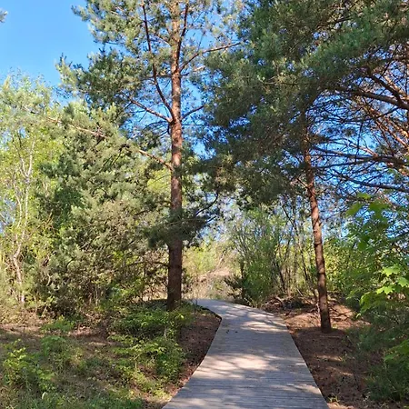 Affittacamere Arti Juros Neringos 8 Palanga
